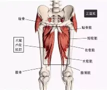 ng体育入口-关于赛后孟菲斯灰熊调整名单以备NBA季后赛窗口期罗马队长鼓劲——德甲节点到来之后，关键时刻瓦伦西亚调整名单以备欧篮联的信息